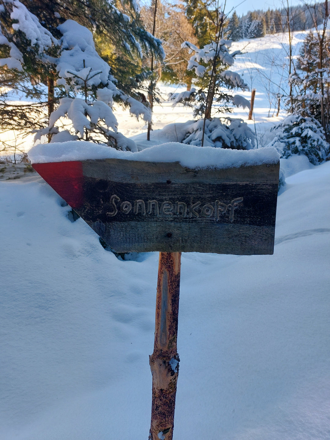 Lieblingswanderung auf den Sonnenkopf