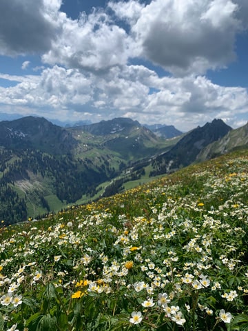 Hallo Frühling!